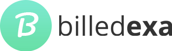 BILLEDEXA logo